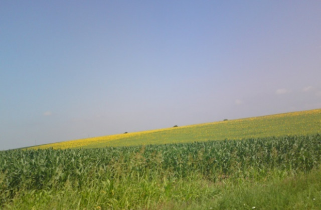 Слънчево и горещо