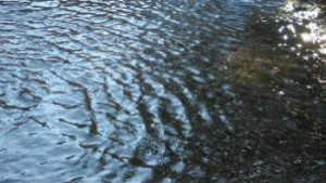 Спазвайте забраните за къпане