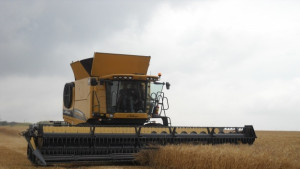 Откриват жътвата в Русенско