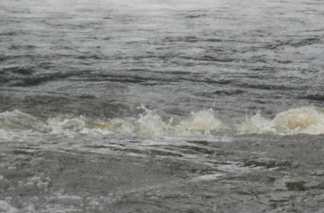 250 метра бракониерски мрежи в яз. Ал.Стамболийски