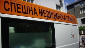 Куче нахапа дете в Стара Загора