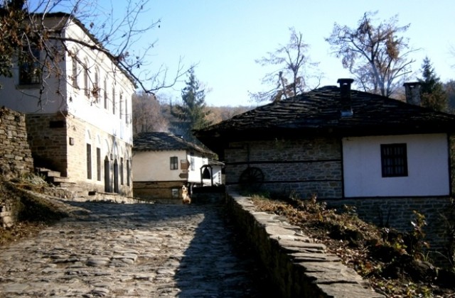 Откриха изложба за развитието на пчеларството в Боженци