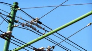 Заради сериозна авария спряха тролеите с номера 82 и 88