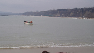 Консумирането на миди може да бъде опасно предупреждават експерти