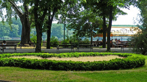 Младежкият фестивал по изкуствата THE BRIDGE 2012 отново ще радва