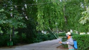 В Търговище продължава борбата с листоминиращия молец по кестените