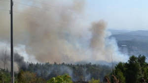 И габровци помагаха в гасене на пожара край Арбанаси