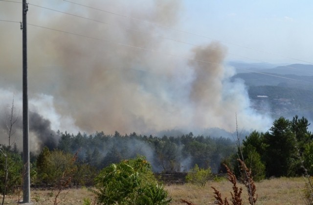 И габровци помагаха в гасене на пожара край Арбанаси