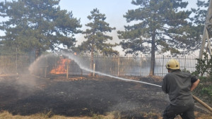 Потушиха пожара на Арбанаси