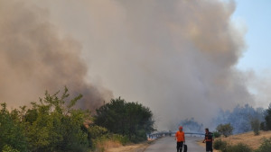 Върху 300 декара е бушувал пожарът на Арбанаси няма данни