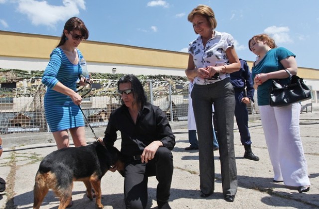 Музикантът Джоуи Ди Майо подкрепи кампанията за осиновяване на изоставени кучета