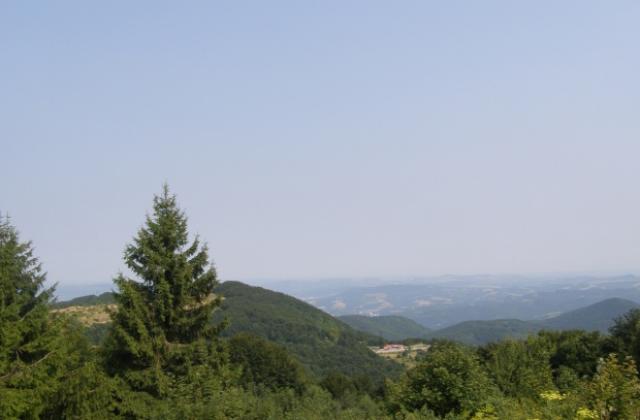 Жега през почивните дни, чакат ни температури до 42-43 градуса