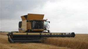 Жътвената кампания в Търговищка област е в разгара си