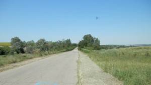 Чистят от трева и храсти пътните банкети в Община Павликени