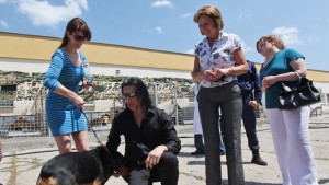 Обмисля се изграждането на регионални кучешки приюти