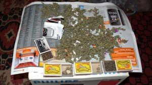 Младеж засадил канабис в двора