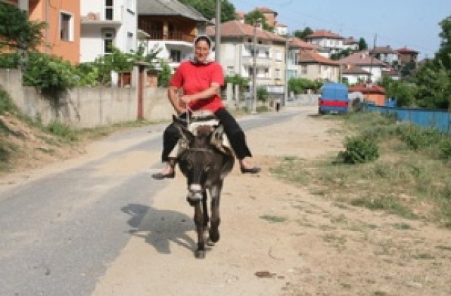 Неделино заплашено от епидемия, карат вода с магарета до околните села