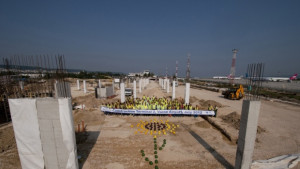 Слънчогледи изникнаха на строителната площадка на летището