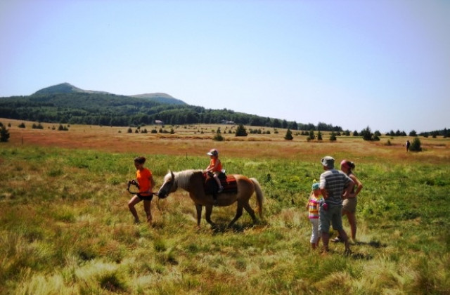 Слънчево и горещо
