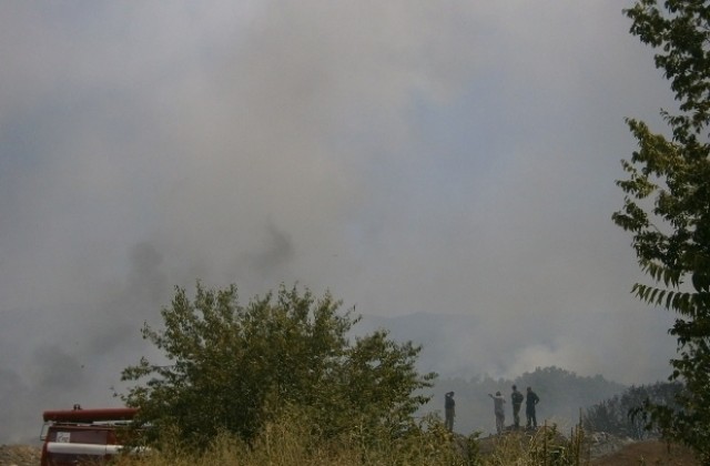 Градското сметище гори