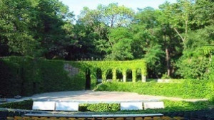 БСП иска оставката на съветник от ГЕРБ заради Летния театър