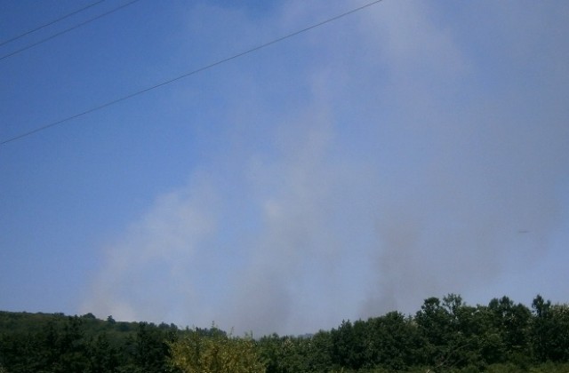 Увеличават се пожарите в сухи треви