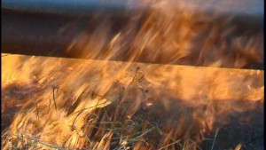 Голям пожар предизвика катастрофи и затвори магистрала Хемус