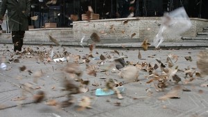 Жълт код за Сливен заради силен вятър