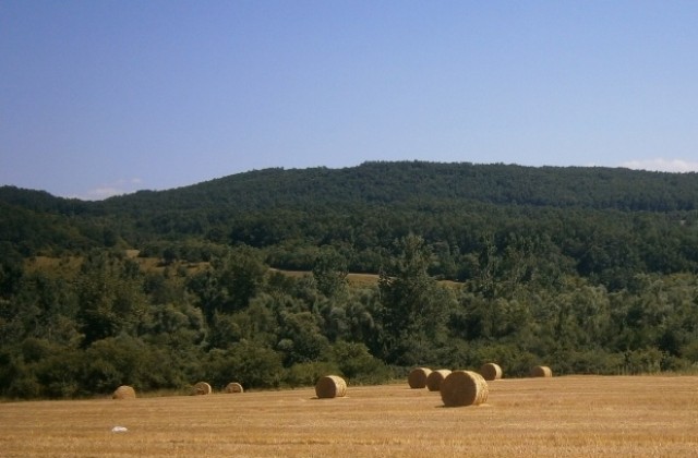 Отново горещо