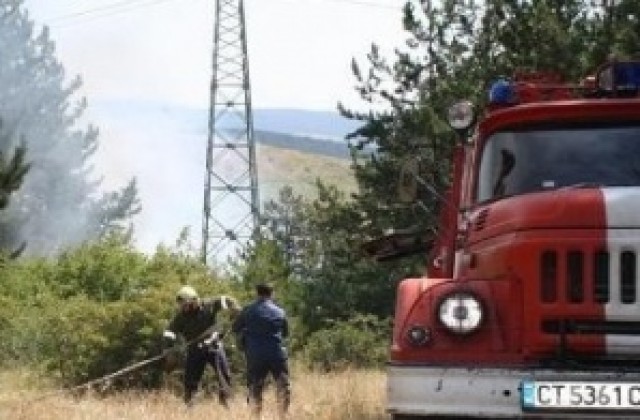 Изгоряха 80 декара с пшеница