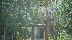 Задържаха младежа заподозрян за убийството на майка си