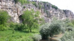 Възстановяват редки видове в ПП Русенски Лом