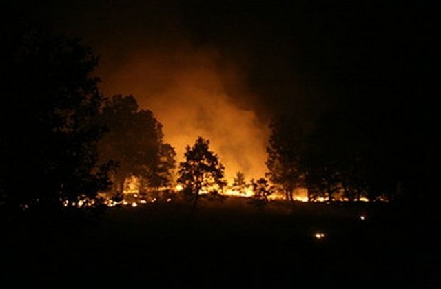 Машини от цяла Южна България и 300 огнеборци гасят пожара в Сакар