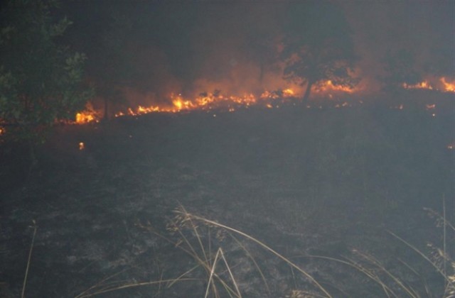 Старозагорски военни участват в потушаването на пожара в Сакар планина