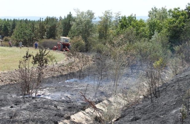 Камион се запали в движение, огънят обхвана и сухите треви край пътя