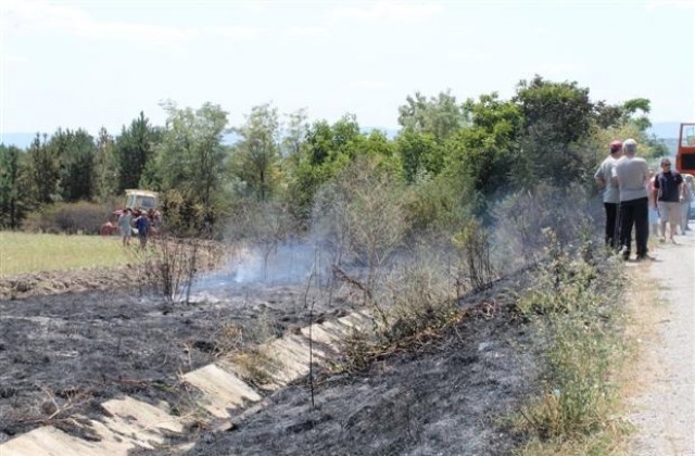 Потушиха пожара край с. Алваново, пуснаха движенивето по пътя София-Варна