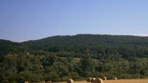 Слънчево и горещо