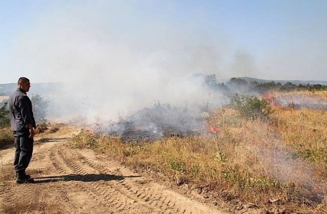 Локализираха пожара в Тополовградско