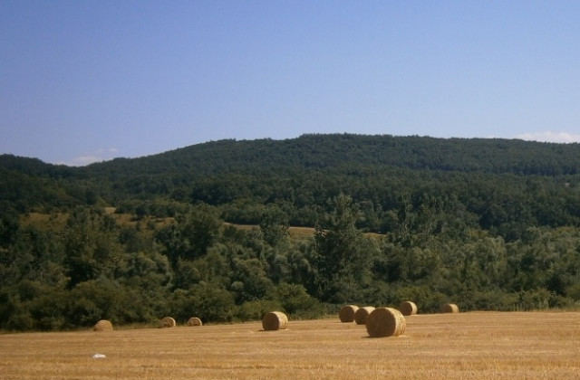 Отново ни чака горещ ден, жълт код в Габровско