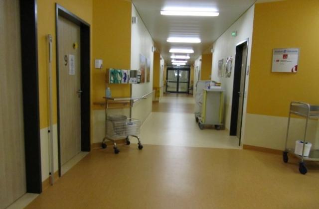 Вторият бум на алергиите предстои през септември и октомври