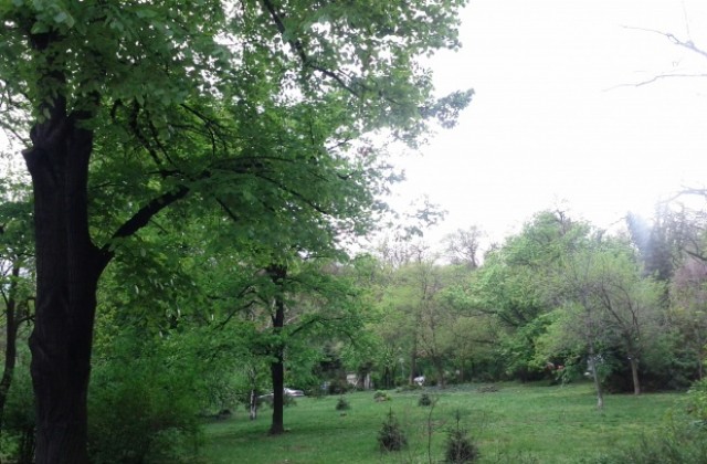 Паднал клон изпотроши 3 коли в Пловдив