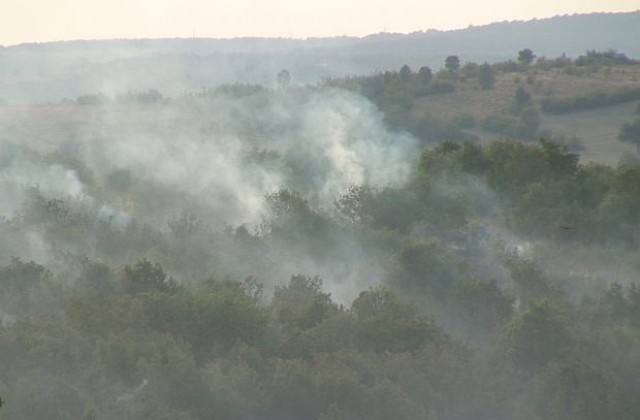 Пожар бушува край хасковското село Брягово