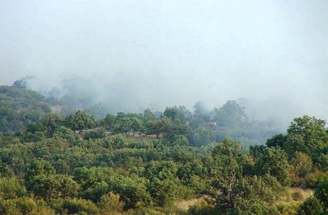 Пожарът в землището на Брягово е локализиран