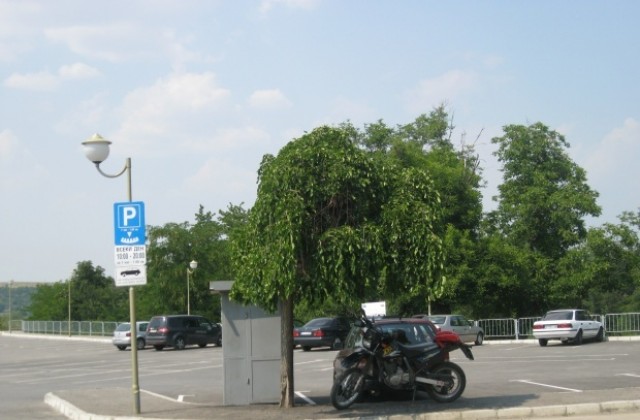 Нова автобусна линия в Дупница