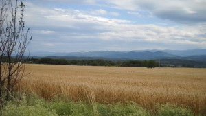 Краткотрайни превалявания и гръмотевици