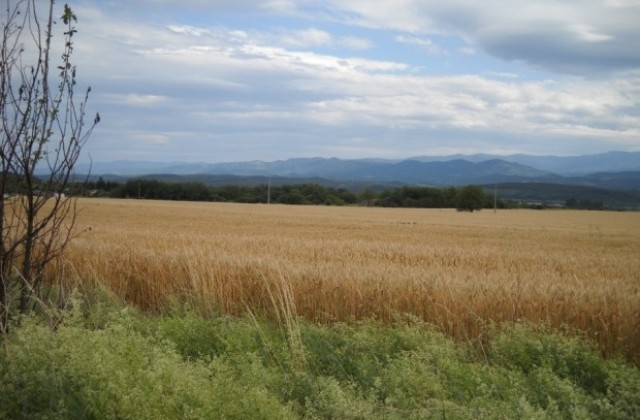 Краткотрайни превалявания и гръмотевици