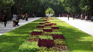 Край на разходките с автомобил в Морската градина