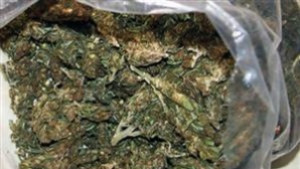 Близо 2 кг канабис иззеха полицаи от Омуртаг