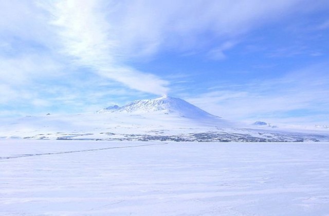 На Антарктида е имало дъждовни гори