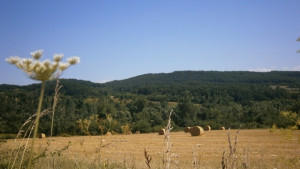 Слънчево на места с валежи